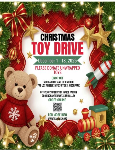 Team Wish Toy Drive Flyer